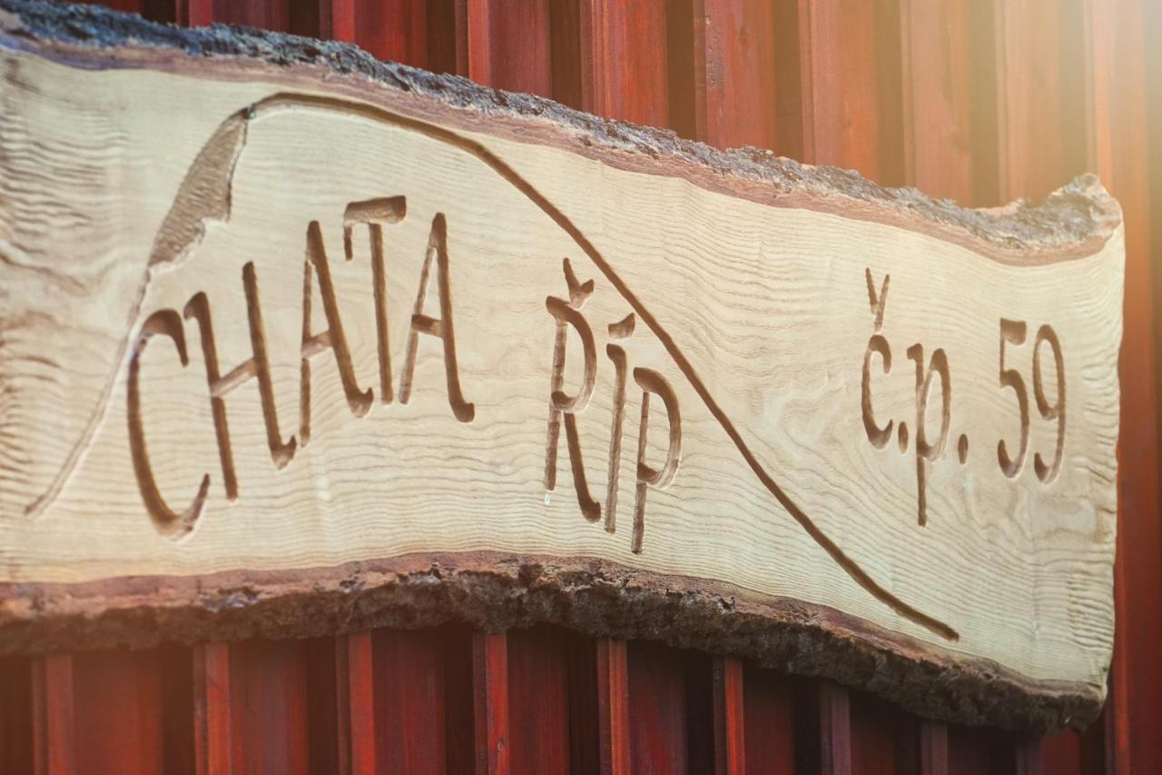 Rip Rokytnice nad Jizerou